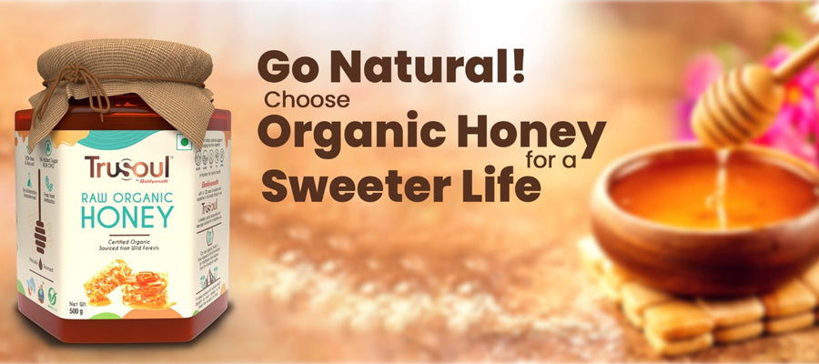 The Sweet Science - Comparing Organic & Processed Honey